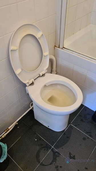  verstopping toilet Sassenheim